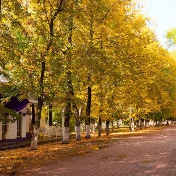 Первомайский бульвар