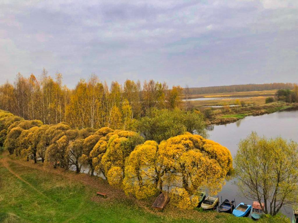 Поселок Борок Некоузского района готовится встречать круизных туристов