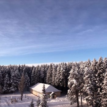 Ресторанно-гостиничный комплекс «Лесная Сказка»