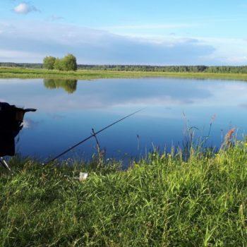 Море рыбы – в Рыбинском море!