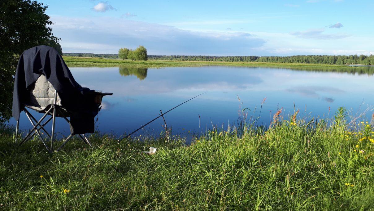 Море рыбы – в Рыбинском море!